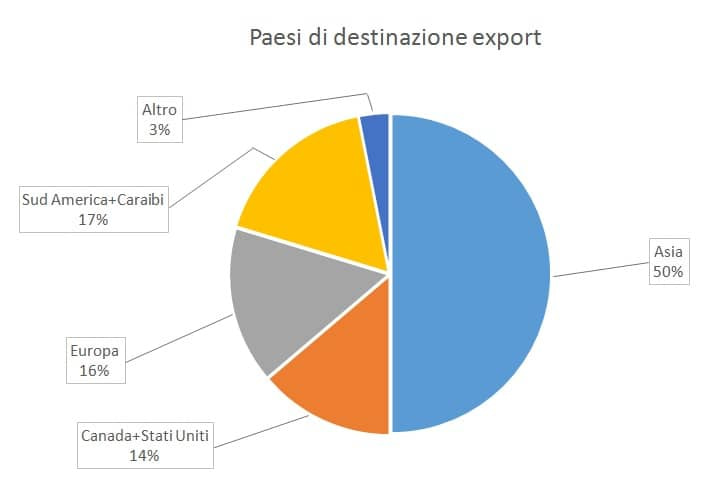 destinazione_export